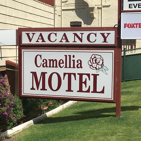 Camellia Motel Narrandera Extérieur photo