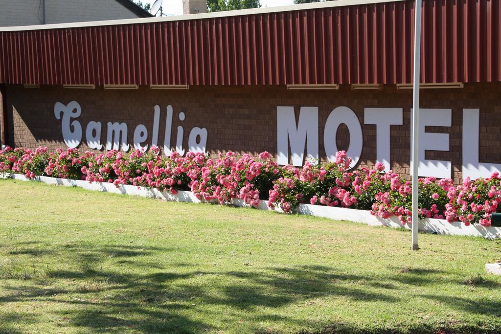 Camellia Motel Narrandera Extérieur photo